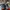 ARC’TERYX NORVAN LD TRAIL RUNNING SHOES ,  ARC’TERYX NORVAN 