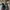 ARC’TERYX NORVAN LD TRAIL RUNNING SHOES ,  ARC’TERYX NORVAN  photo 4