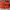 ARC’TERYX NORVAN LD TRAIL RUNNING SHOES ,  ARC’TERYX NORVAN  photo 5