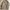 Carhartt WIP Whitsome Shirt Jacket Wall photo 7
