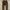 Vintage Polo Club Corduroy Pants