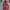 Puma Streetwear Sportswear Puffer jacket Pria multicolor photo 8