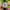 Jam Mickey Mouse Lorus Disney photo 1