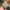 Jam Mickey Mouse Lorus Disney photo 4