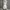 SWEATPANTS BALLON GREY photo 3