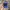 NBA Vintage Hat Dallas Mavericks photo 1