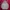 Hoodie NBA photo 1