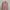 Uniqlo Cardigan Passion Rose