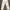 Dickies 875 pants Celana photo 3