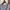 Casual Crop top Wanita gray photo 2