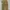 Y2k wilson baggy corduroy pants photo 1