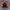Union 76 Vintage Biker Cardigan Pria orange navy photo 2