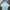 Lacoste Vintage Casual Casual shirt Pria cream photo 2