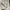 Dickies jacket parka tactical jaket multi pocket photo 4