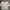 Dickies jacket parka tactical jaket multi pocket photo 2