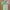 Luxury Coquette Maxi Dress Wanita Green