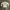 GOTCHA INDIVIDUAL LONG SLEEVE TSHIRT photo 6