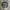 BADBOY JAPANESE POEM LONG SLEEVE TSHIR photo 1