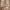 EDWIN Vintage Streetwear Jeans Pria tan photo 4