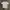 IN THE ATTIC TSHIRTS photo 1