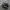 nike af1 photo 1