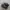 nike af1 photo 1