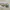 HotWheels Porcshe 911 Carrera RS 2,7 photo 1