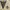 vintage kanvas vest millitary photo 3