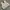 vintage kanvas vest millitary photo 1
