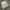 vintage kanvas vest millitary photo 2