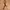 Kirkland Leather Belt photo 1