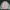 Luxury Futurist Bomber Jacket Pria Pink