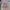 Luxury Futurist Bomber jacket Pria pink photo 4