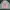 Luxury Futurist Bomber jacket Pria pink photo 3