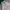 Luxury Futurist Bomber jacket Pria pink photo 2