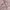 Luxury Futurist Bomber jacket Pria pink photo 5