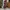 Isoos Studios Elixir Skirt Brand new photo 3
