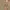 Japanese brand Streetwear Casual pants Pria brown photo 4