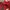 Blouse babydoll maroon bunga | flower blouse red  photo 2