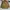 Casual Formal shirt Pria brown photo 1