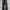 Cutbray Cargo Pants