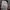 Celana Jogger Nike Tech Mulus Like New Original Big Size photo 4