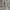 Uniqlo Cargo Pants