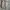 Uniqlo Cargo Pants photo 2