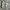 Uniqlo Cargo Pants