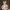 Dress Kostum Fairy Fashion Show photo 1