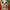 Adidas Vintage Hoody Pria green red photo 4