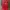 Cheongsam Anak