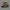 Sepatu Vans Old Skool BMX PRO POP x LARRY EDGAR photo 1