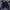 Wrangler Fatigue Shortpants Navy photo 1